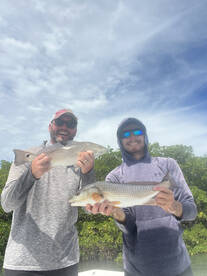 Belleair Bluffs Report Photo 1