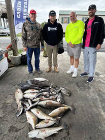 Great windy day success