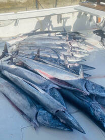 Sandys Report Photo 2