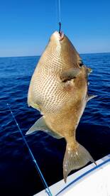 Atlantic City Report Photo 1