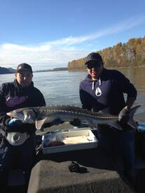 Chilliwack Report Photo 1