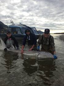 Chilliwack Report Photo 2