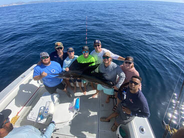 Todays charter