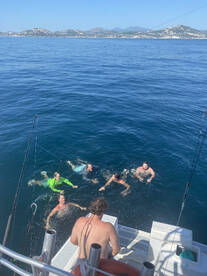 San Jose del Cabo Report Photo 1