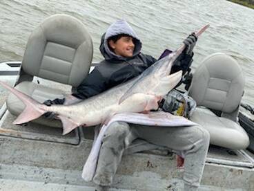 Spoonbill stacked up!!