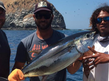 yellow fin tuna