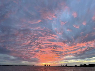 Tampa Report Photo 2