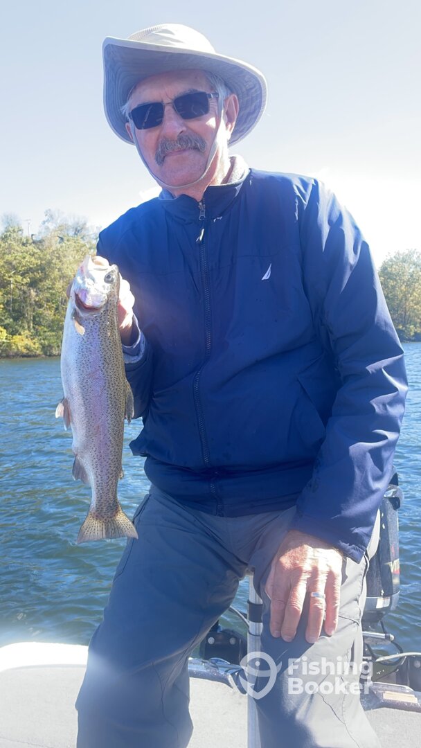 Branson Report Photo 0
