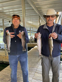 Branson Report Photo 2