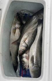 A Banner Day in the Fall Rain!