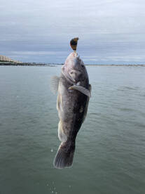 Brigantine Report Photo 1