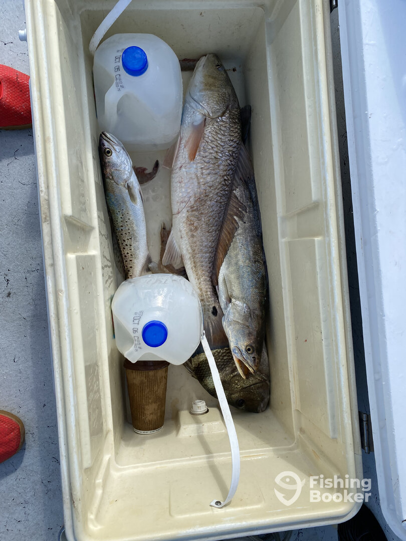 Galveston Report Photo 0