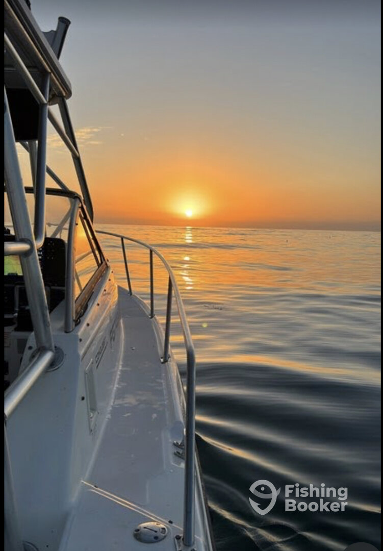 San Diego Report Photo 0
