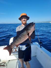San Jose del Cabo Report Photo 1