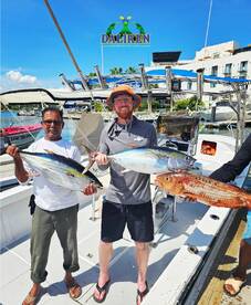 San Jose del Cabo Report Photo 2