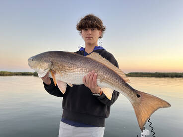 Mandeville Report Photo 2
