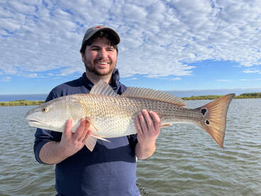 Mandeville Report Photo 1