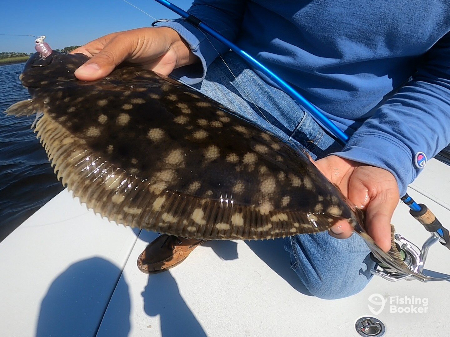 Jacksonville Report Photo 0