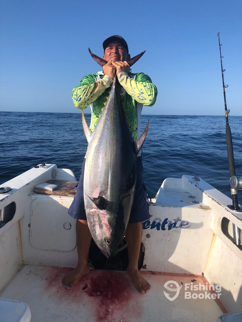 San Jose del Cabo Report Photo 0