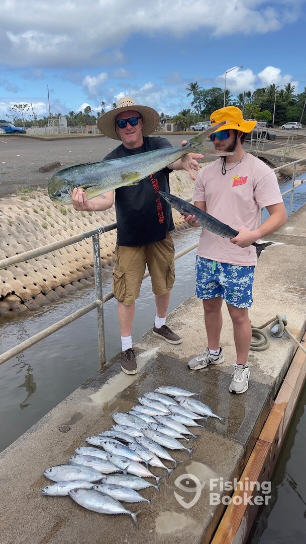 Haleiwa Report Photo 0