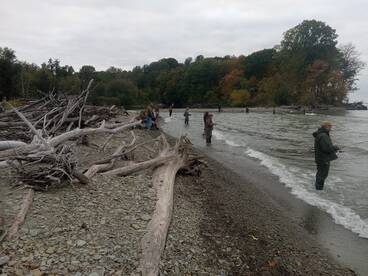 Chincoteague Report Photo 2