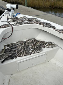 Nags Head Report Photo 2