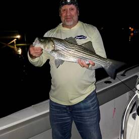 Back bay night bite heating up.