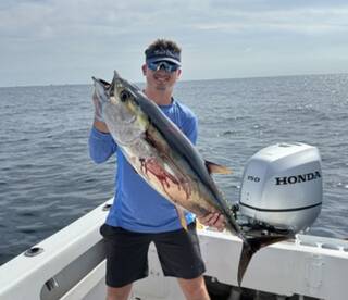 San Jose del Cabo Report Photo 2