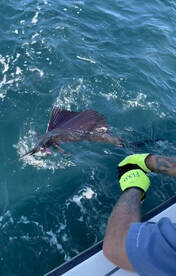 Fort Pierce Report Photo 1