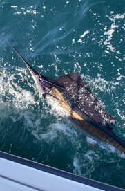 Fort Pierce Report Photo 2