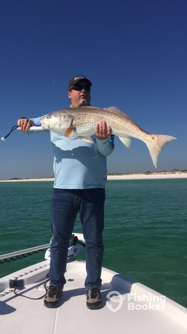 Pensacola Report Photo 0