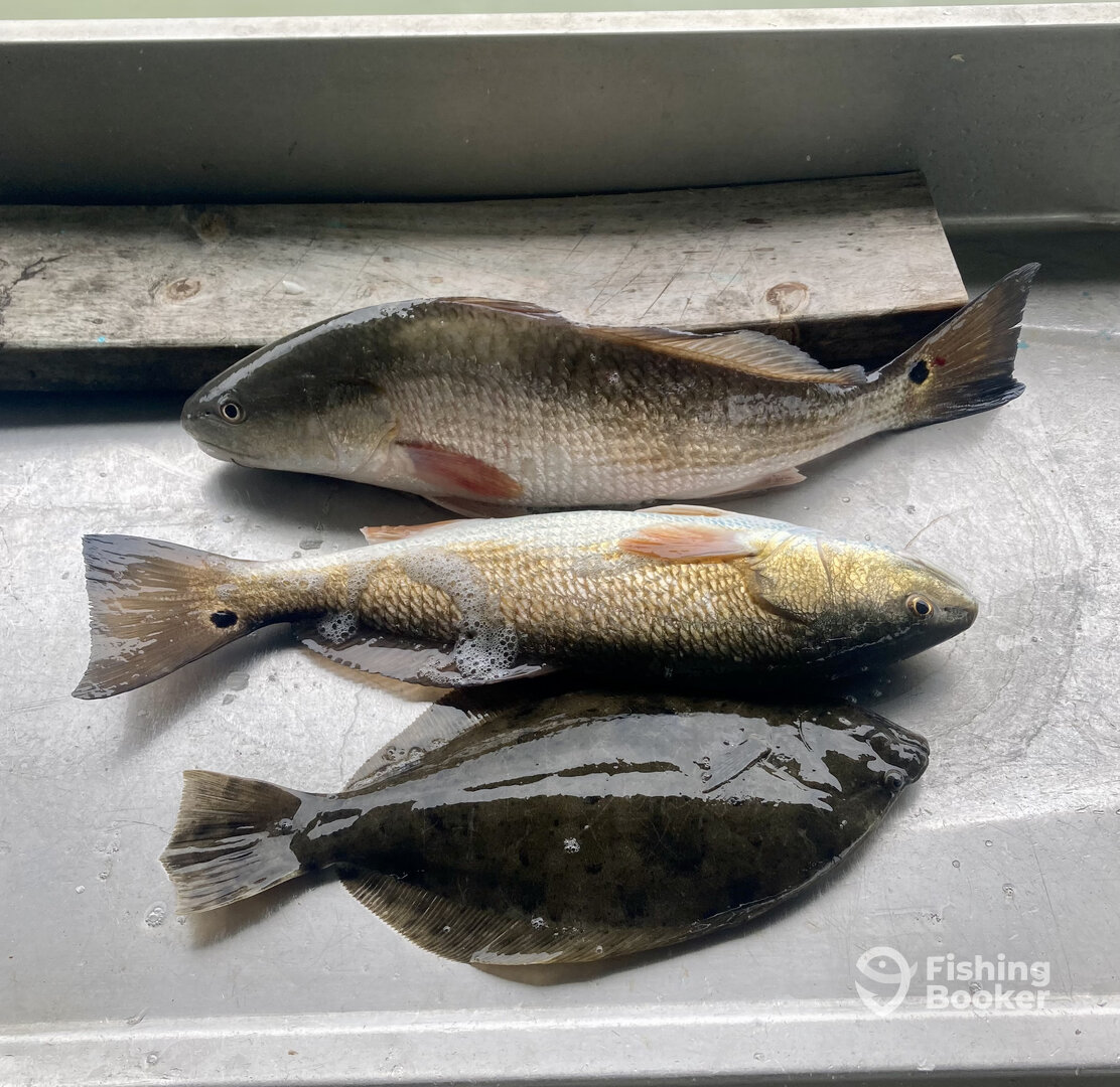 Texas City Report Photo 0