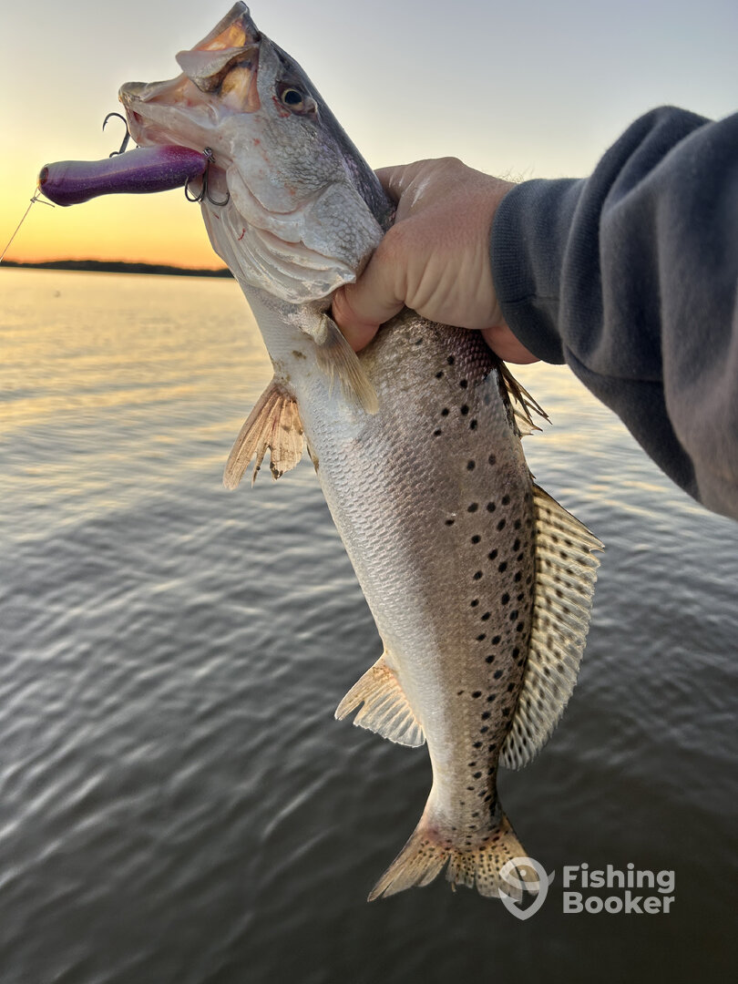 Beaufort Report Photo 0