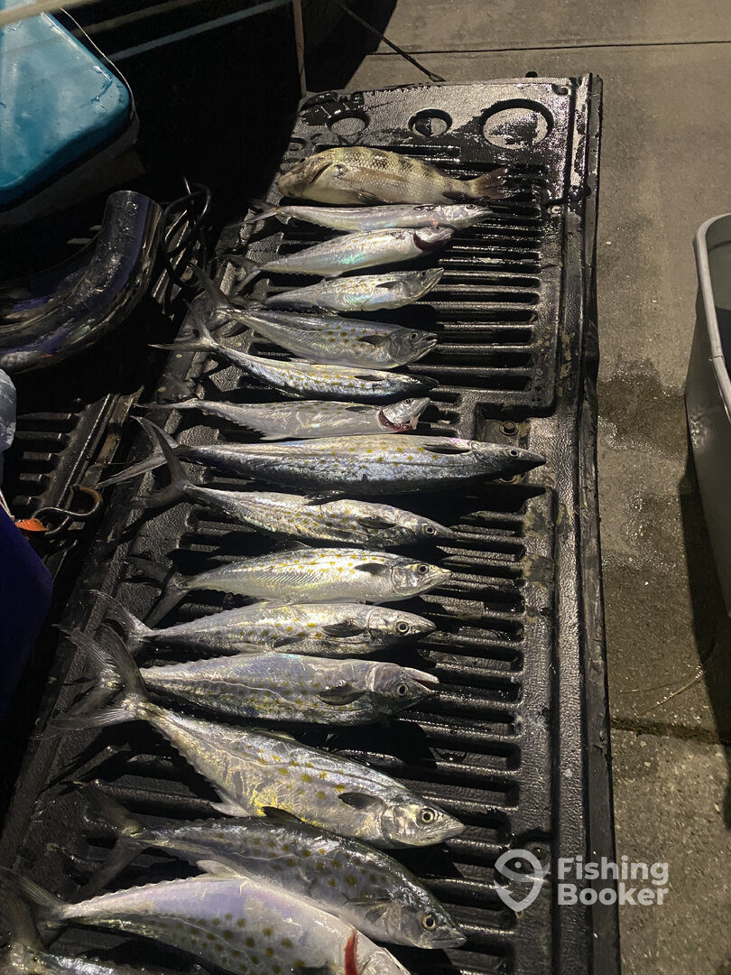 Carolina Beach Report Photo 0