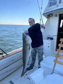 Stripers