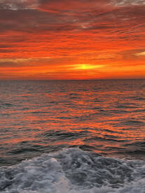 Belmar Report Photo 2