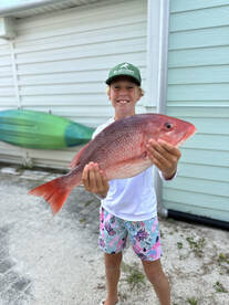 Red Snapper