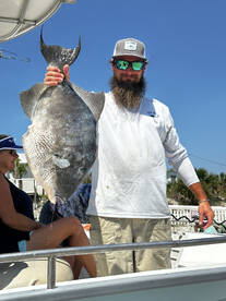 Triggerfish