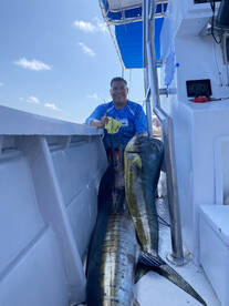 Puerto Vallarta Report Photo 2