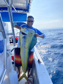 Puerto Vallarta Report Photo 1