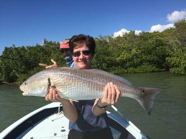 Naples Report Photo 1