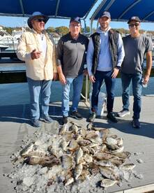 Amazing wreck fishing!