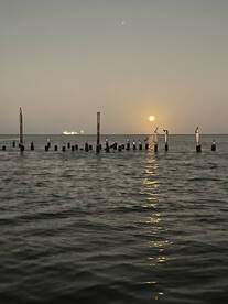 Venice Report Photo 1