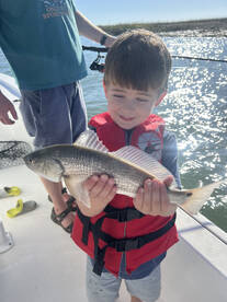 Beautiful Charleston afternoon