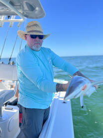 Palmetto Report Photo 1