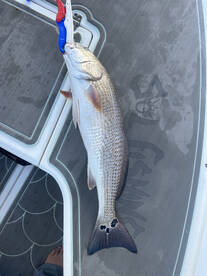 Edgewater Report Photo 2