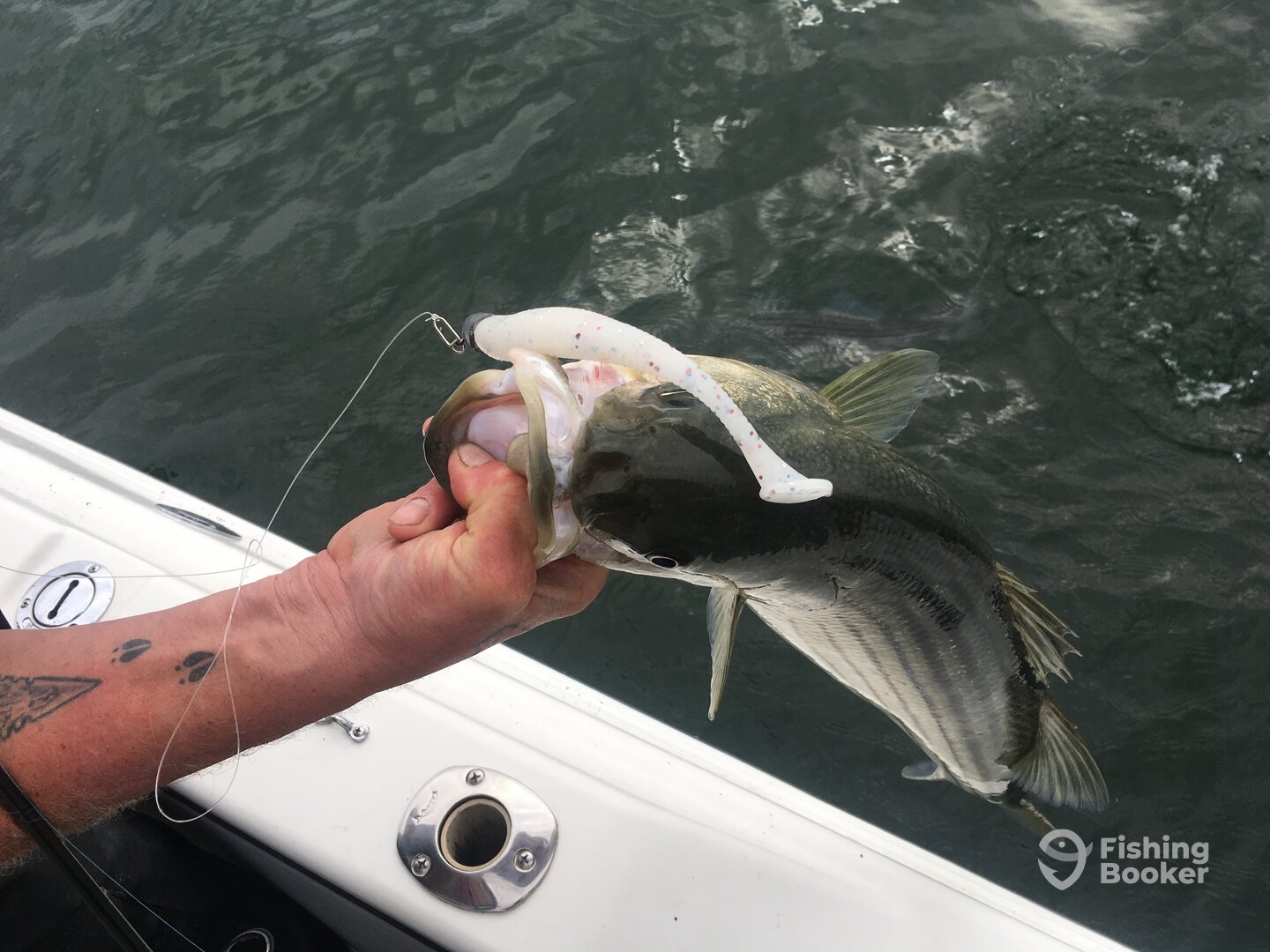 Laurence Harbor Report Photo 0