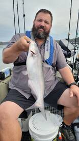 Harrison Report Photo 2