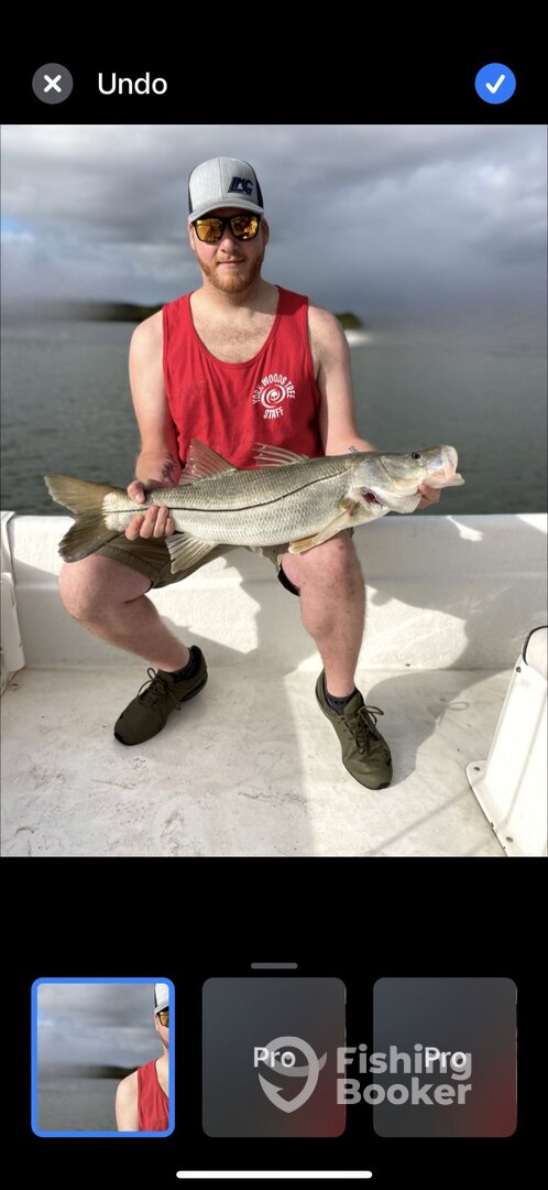 Orlando Report Photo 0