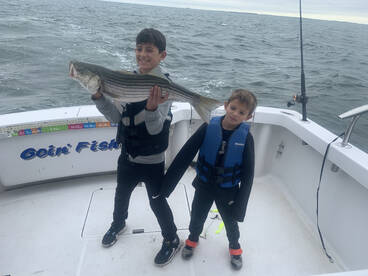 New York City Report Photo 2